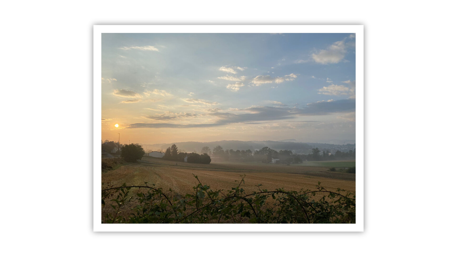 Header Standort 5