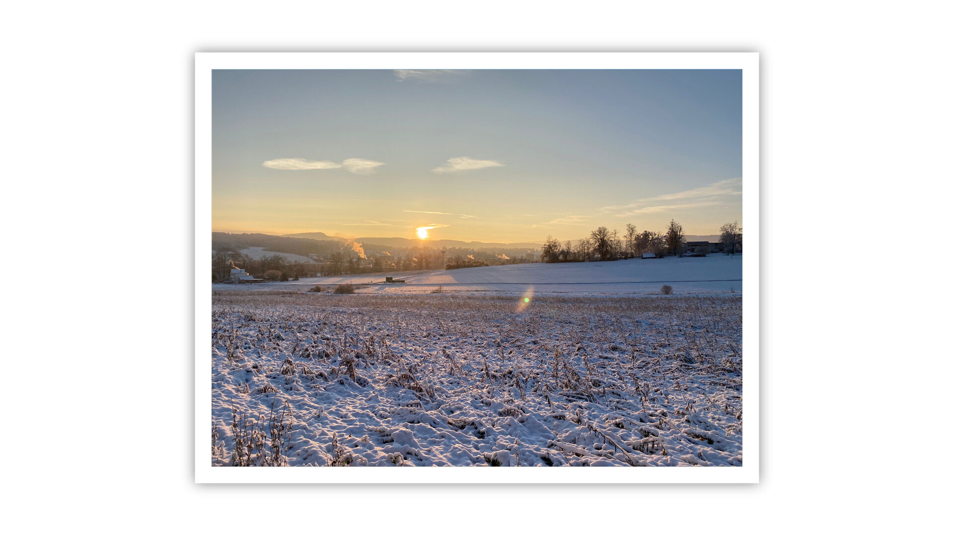 Header Standort 7